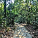 梅沙尖 - 深圳市旅游 缩略图 4