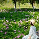 东安湖公园-观鸟屋 - 成都市旅游 缩略图 3