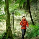 桫椤峡谷 - 乐山市旅游 缩略图 3