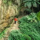 桫椤峡谷 - 乐山市旅游 缩略图 7