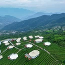 岩上茶居全景帐篷酒店 - 宜昌旅游 缩略图 8