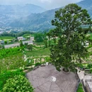 岩上茶居全景帐篷酒店 - 宜昌旅游 缩略图 5