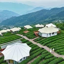 岩上茶居全景帐篷酒店 - 宜昌旅游 缩略图 4