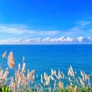 东极岛景区 - 舟山市旅游 缩略图 2