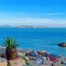 东极岛景区 - 舟山市旅游 缩略图 4