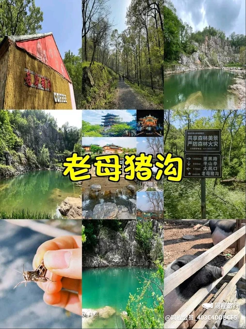 生态谷 - 南京市旅游
