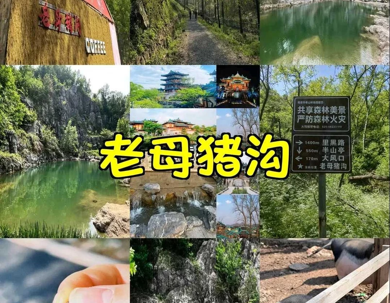 生态谷 - 南京市旅游 1