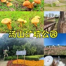 生态谷 - 南京市旅游 缩略图 5