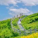 云上草原国际山地旅游度假区 - 湖州市旅游 缩略图 1