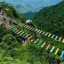 云上草原国际山地旅游度假区 - 湖州市旅游 缩略图 4