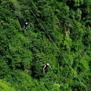 云上草原国际山地旅游度假区 - 湖州市旅游 缩略图 8