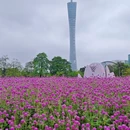 宏城公园 - 广州市旅游 缩略图 4