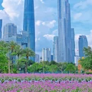 宏城公园 - 广州市旅游 缩略图 6