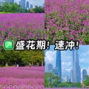 宏城公园 - 广州市旅游 缩略图 1