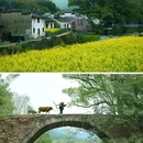 苏州园林曲园 - 苏州市旅游 缩略图 5