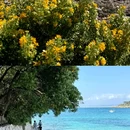 昂蒂布 - 法国旅游 缩略图 5