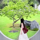 虹桥公园月在庭 - 深圳市旅游 缩略图 2