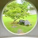 虹桥公园月在庭 - 深圳市旅游 缩略图 8