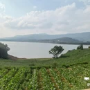 会泽逸博大酒店(会泽古城店) - 曲靖市旅游 缩略图 8