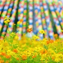 听音湖 - 佛山市旅游 缩略图 5
