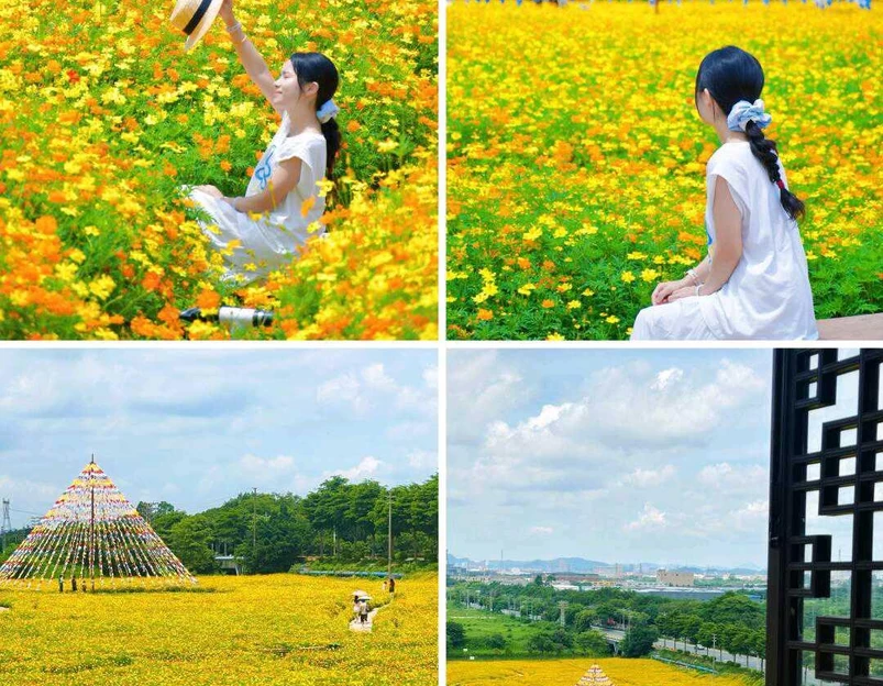 听音湖 - 佛山市旅游 1
