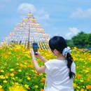 听音湖 - 佛山市旅游 缩略图 6