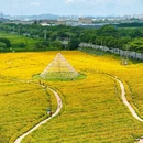 听音湖 - 佛山市旅游 缩略图 2