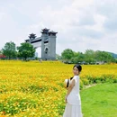 听音湖 - 佛山市旅游 缩略图 4