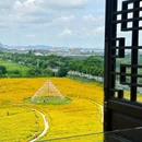 听音湖 - 佛山市旅游 缩略图 9