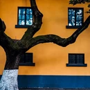 南京夫子庙 - 南京市旅游 缩略图 8