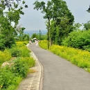 大花山驿站 - 武汉市旅游 缩略图 7
