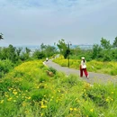 大花山驿站 - 武汉市旅游 缩略图 8