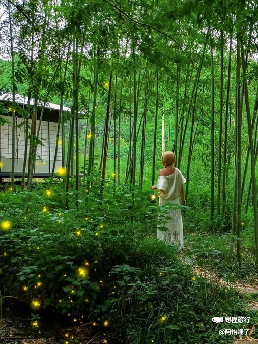 西塞山旅游度假区 - 湖州市旅游