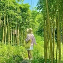 西塞山旅游度假区 - 湖州市旅游 缩略图 8