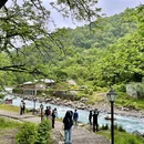喇叭河风景区 - 雅安市旅游 缩略图 4
