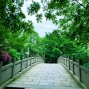 新场古镇游客中心 - 上海市旅游 缩略图 7