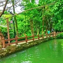 新场古镇游客中心 - 上海市旅游 缩略图 8