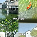 拙政园 - 苏州市旅游 缩略图 5