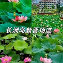 杨桃基农庄老字.号(长洲岛店) - 广州市旅游 缩略图 1
