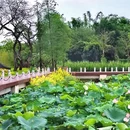 杨桃基农庄老字.号(长洲岛店) - 广州市旅游 缩略图 9