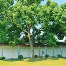 重庆璧山露德堂 - 重庆旅游 缩略图 9