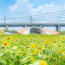 东涌镇官坦农业公园 - 广州市旅游 缩略图 4