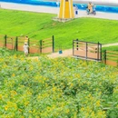 东涌镇官坦农业公园 - 广州市旅游 缩略图 6