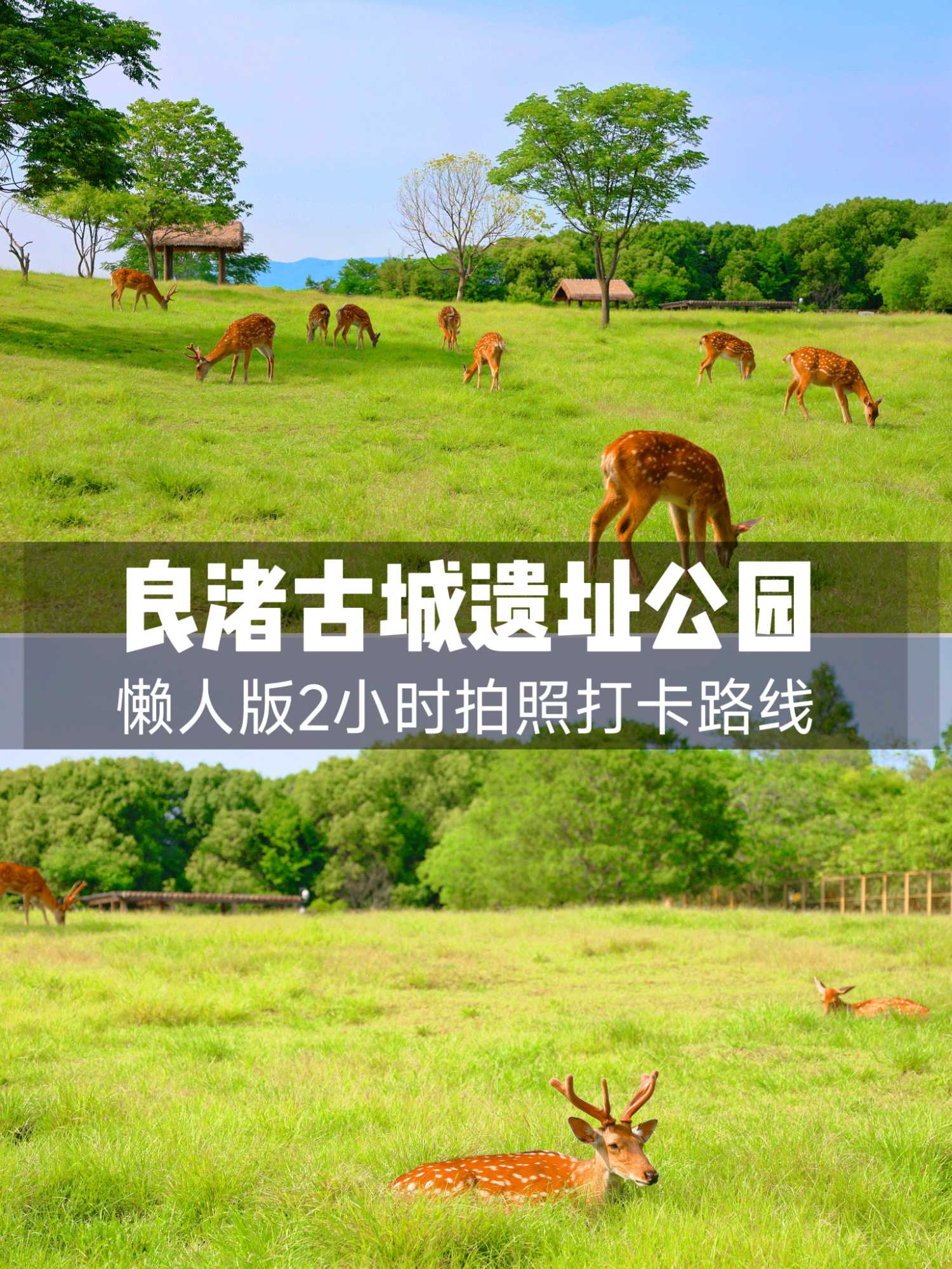 良渚古城遗址公园 - 杭州市旅游