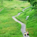 永安湖城市森林公园 - 成都市旅游 缩略图 1
