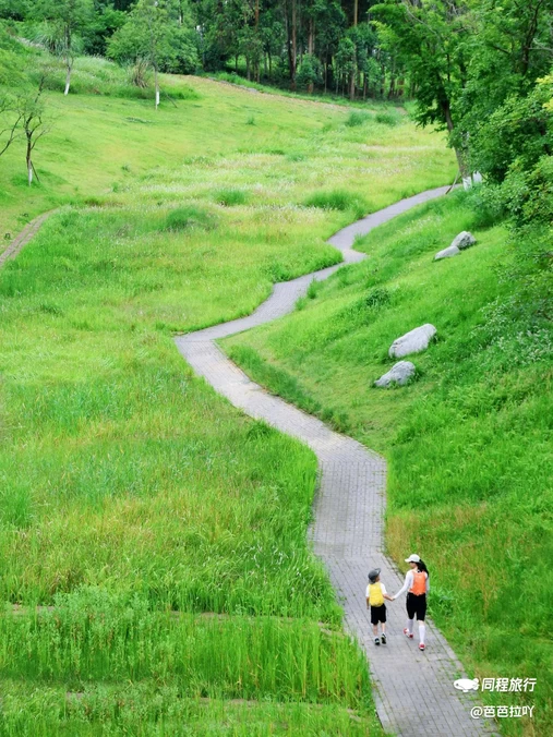 永安湖城市森林公园 - 成都市旅游