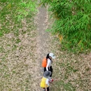永安湖城市森林公园 - 成都市旅游 缩略图 4