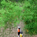 永安湖城市森林公园 - 成都市旅游 缩略图 3