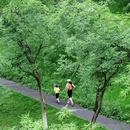 永安湖城市森林公园 - 成都市旅游 缩略图 2