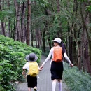 永安湖城市森林公园 - 成都市旅游 缩略图 6